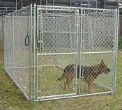 Dog Kennel