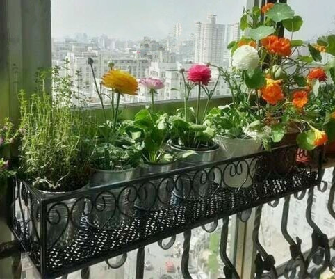 Window basket